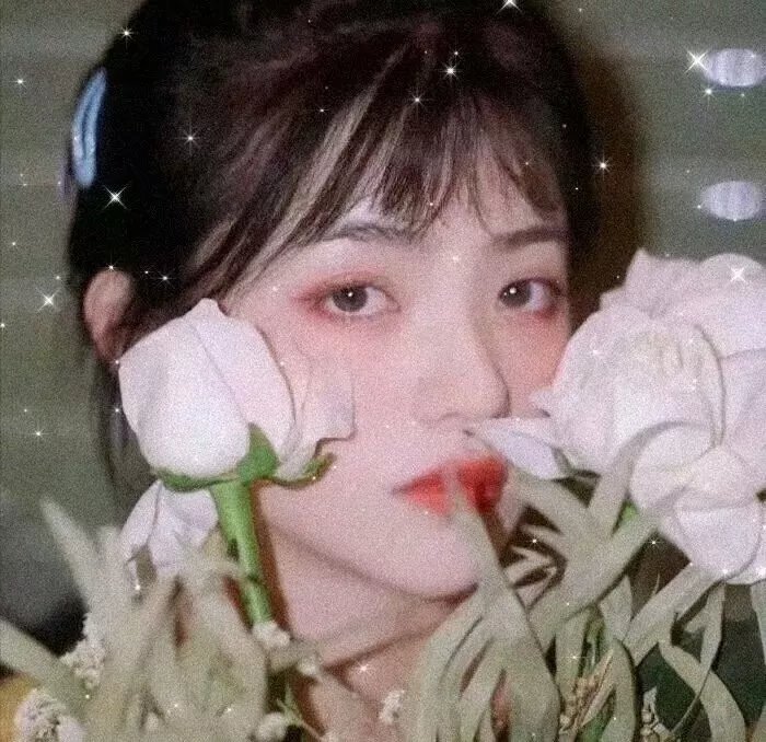 爱的世界